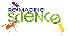 REIMAGINE SCIENCE Logo