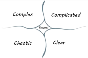 Figure with four quadrants: Complex, Complicated, Chaotic and Clear. Liminal is situated between the four.